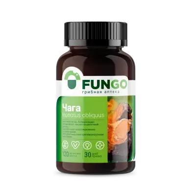 Чага в капсулах