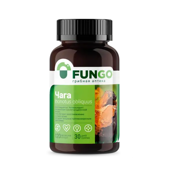 Чага в капсулах
